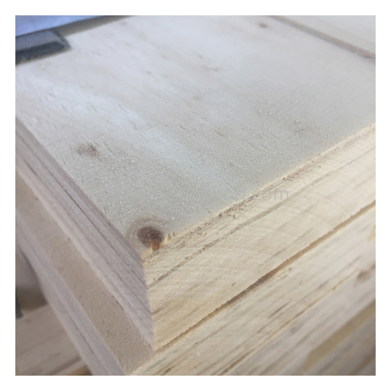 Premium Poplar LVL Plywood Panels for Interior Design, Pallets, and Construction Wood